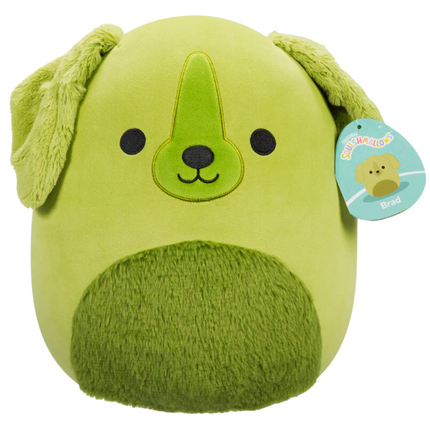 Squish - Brad Gift Pack