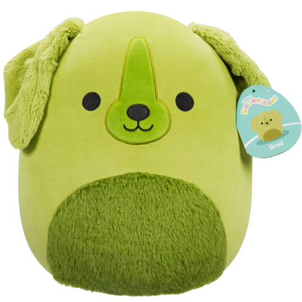 Squish - Brad Girl Gift Pack